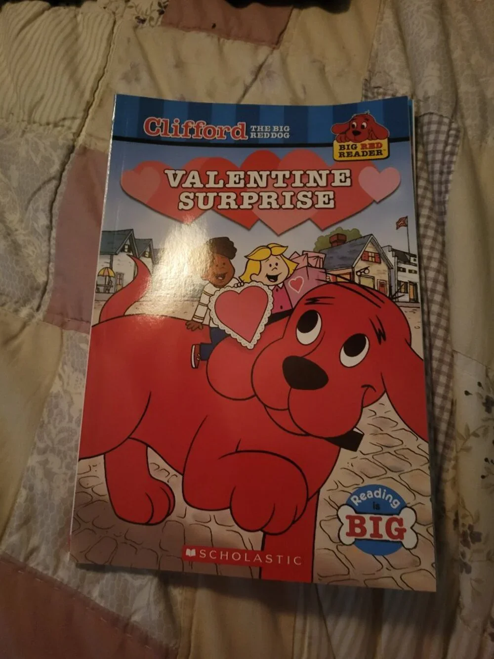 Scholastic children paperback